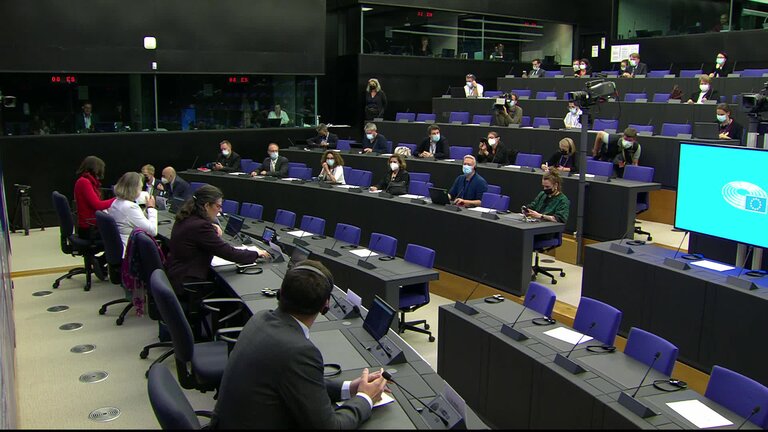 Press conference by the members of the LIBE delegation in Hungary